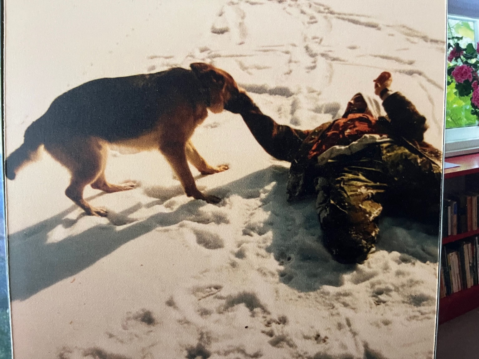 Peter spielt mit Hund im Schnee